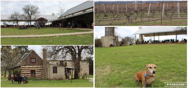 Collage 2019-03-23 16_32_49