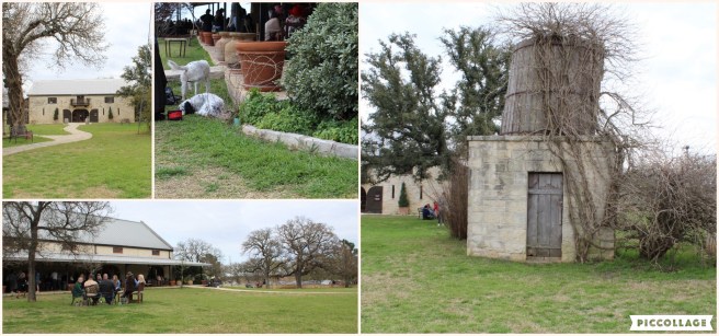 Collage 2019-03-23 16_37_47