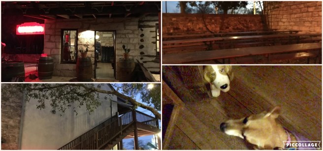 Collage 2019-03-26 21_09_58