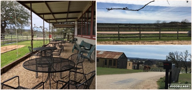 Collage 2019-03-26 21_26_35.jpg