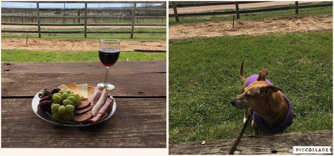 Collage 2019-03-26 21_27_36