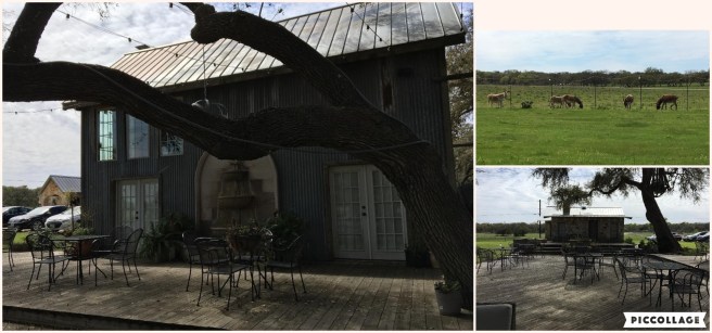 Collage 2019-03-26 21_34_20