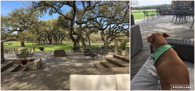 Collage 2019-03-26 21_35_36