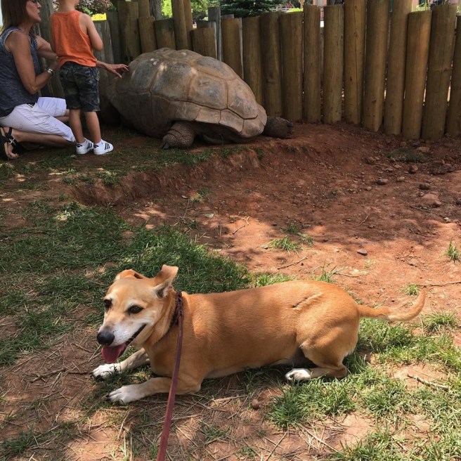 64545803_10157232635018771_2293969477634621440_n