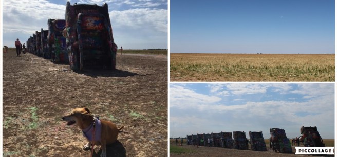 Collage 2019-06-23 20_09_15.jpg