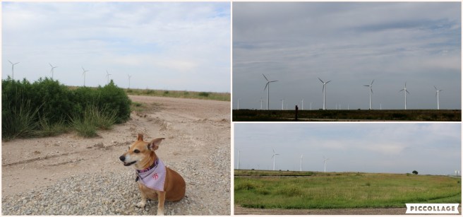 Collage 2019-06-23 20_33_47.jpg