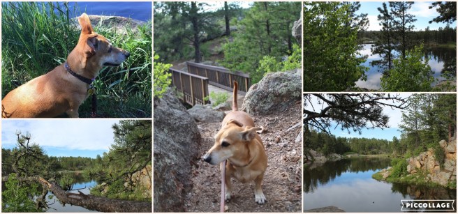 Collage 2019-06-28 23_21_31