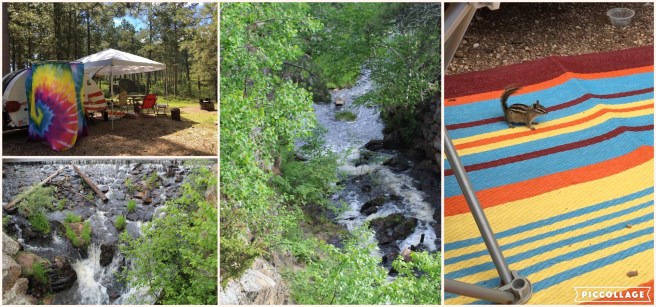 Collage 2019-06-28 23_35_08