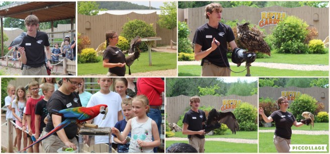 Collage 2019-06-28 23_53_56