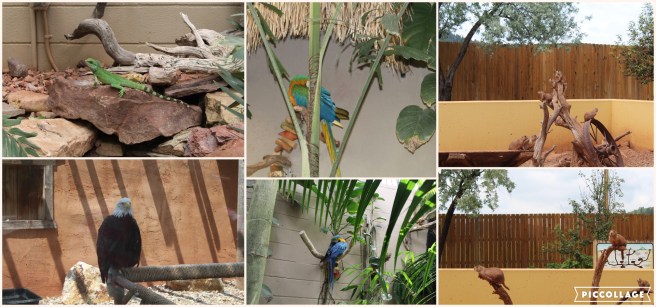 Collage 2019-06-28 23_56_08