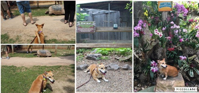 Collage 2019-06-29 00_14_27.jpg