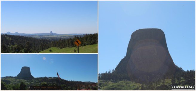 Collage 2019-07-03 21_46_35