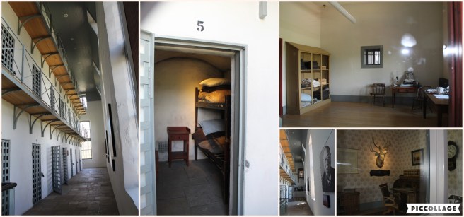 Collage 2019-07-03 22_15_05