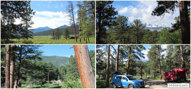 Collage 2019-07-16 17_36_24