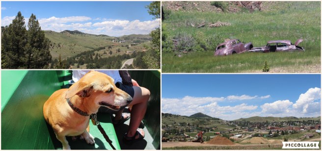 Collage 2019-08-08 17_37_35